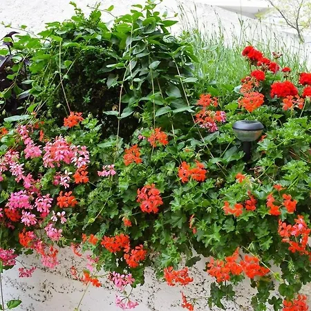 With A Parking Space - 12846 Split