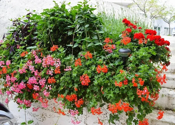 With A Parking Space - 12846 Σπλιτ